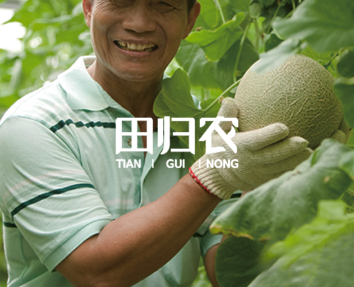 田歸農有機蔬菜-農產品