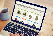 什么樣的品牌設(shè)計(jì)是成功的呢？