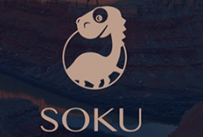 蔚派案例|SOKU小恐龍  構(gòu)建個性美妝品牌形象設(shè)計