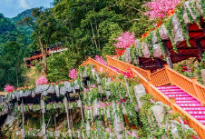 酒店品牌策劃是提高競(jìng)爭(zhēng)力的關(guān)鍵環(huán)節(jié)，可以吸引更多顧客的關(guān)注和選擇