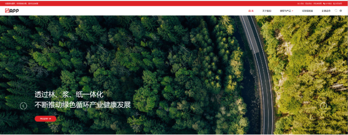 《金光集團》網(wǎng)站建設(shè)-蔚派VPA品牌數(shù)字化
