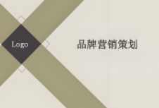 明確且有效的品牌營銷策劃對于企業(yè)的發(fā)展至關(guān)重要