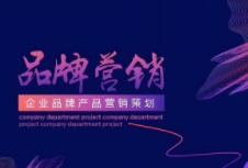 品牌營銷策劃利用數(shù)字化技術(shù)提升營銷效率