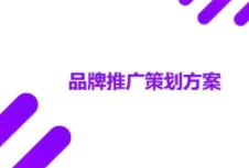 如何進(jìn)行有效的品牌策劃吸引消費(fèi)者，提高市場份額？