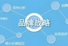 品牌戰(zhàn)略規(guī)劃的重要性、核心要素以及實(shí)施步驟，為企業(yè)提供有益的指導(dǎo)